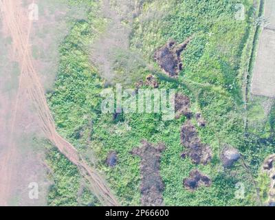 Veduta aerea della mappatura terrestre da parte di un veicolo aereo senza equipaggio a Bogor, Indonesia. Foto Stock