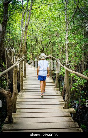 Vista posteriore del giovane ragazzo con cappello camminando su sentiero in legno all'interno del Parco Nazionale della Foresta di Jozani, Zanzibar, Tanzania, Africa Orientale, Africa Foto Stock
