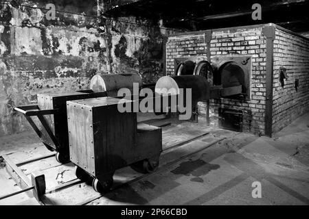 La Polonia, Auschwitz, campo di concentramento Foto Stock