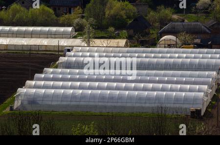 Serre allineate in fila, ricoperte da un film trasparente di ortaggi e frutta coltivati, vista dall'alto. Agricoltura, prodotti biologici. Foto Stock