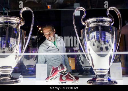 Le Coppe europee, Museu FC BARCELONA FC Barcelona Museum, Camp Nou, Barcellona, in Catalogna, Spagna. Foto Stock