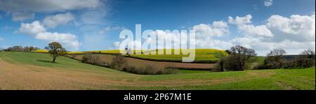 Paesaggio panoramico, Dart Valley, Totnes, Devon, Inghilterra, Regno Unito, Europa Foto Stock