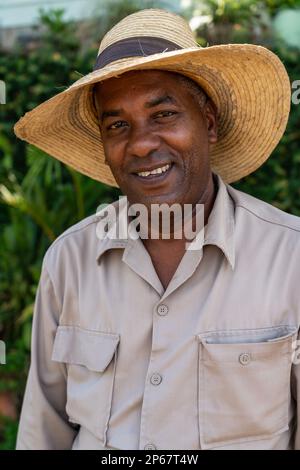 Lavoratore di piantagione di tabacco in cappello di paglia, Vinales, Cuba, Indie Occidentali, Caraibi, America Centrale Foto Stock