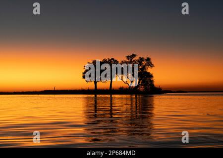 Tramonto sul fiume Chobe, Parco Nazionale di Chobe, Botswana, Africa Foto Stock