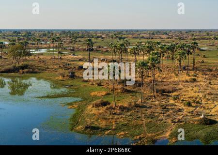 Veduta aerea del Delta dell'Okavango, patrimonio dell'umanità dell'UNESCO, Botswana, Africa Foto Stock
