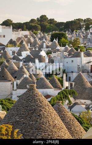 Vista sui tetti conici in pietra delle tradizionali case trulli del centro storico, Alberobello, patrimonio dell'umanità dell'UNESCO, Puglia, Italia, Europa Foto Stock