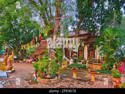 Il lussureggiante giardino tropicale di Wat Ket Karam, decorato con fiori in pentole e lanterne Lanna, Chiang mai, Thailandia Foto Stock