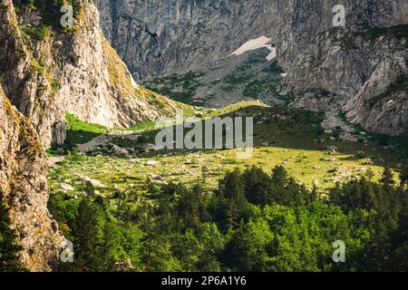 Montenegro. Parco Nazionale di Prokletiye. Estate. Catena montuosa. Cime verdi di montagna Foto Stock