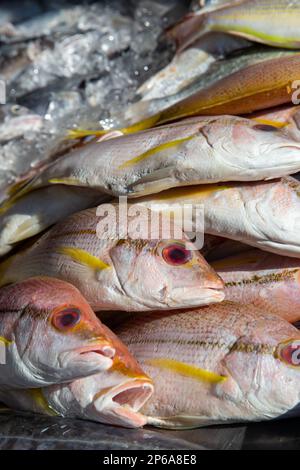 Pesce crudo in vendita al mercato mattutino Foto Stock