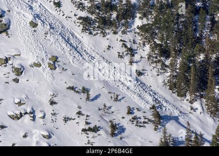 Zona delle valanghe. Vista dal sentiero alla Valle dei cinque Stagni polacchi. Foto Stock