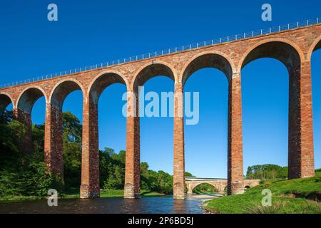 Vista diurna estiva del Viadotto Leaderfoot sul fiume Tweed vicino a Melrose ai confini scozzesi in Scozia, Regno Unito Foto Stock