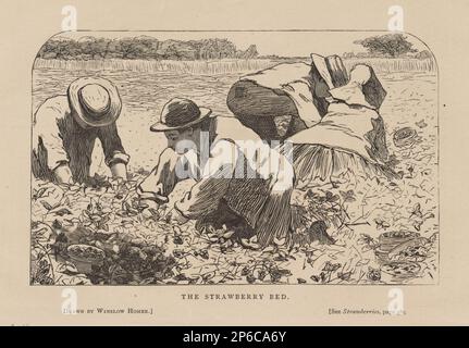 Dopo Winslow Homer, The Strawberry Bed, luglio 1868, incisione in legno su carta color panna. Foto Stock