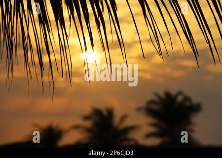 Vista al sole che sorge attraverso le foglie di palma sulla spiaggia tropicale, sfondo per le vacanze e i viaggi Foto Stock