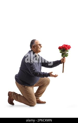 Immagine a profilo intero di un uomo maturo che tiene un mazzo di rose rosse e che si inginocchia isolato su sfondo bianco Foto Stock