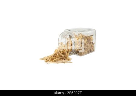 Ginseng siberiano in latino Eleutherococcus senticosus che cade da un vaso di vetro isolato su sfondo bianco. Erba medicinale. ha una storia di utilizzo in Foto Stock