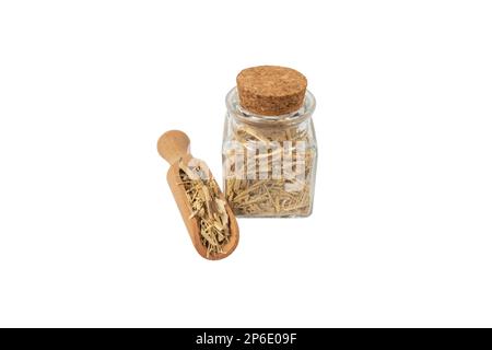 Ginseng siberiano in latino Eleutherococcus senticosus in paletta di legno e vaso di vetro isolato su sfondo bianco. Erba medicinale. ha una storia di u Foto Stock