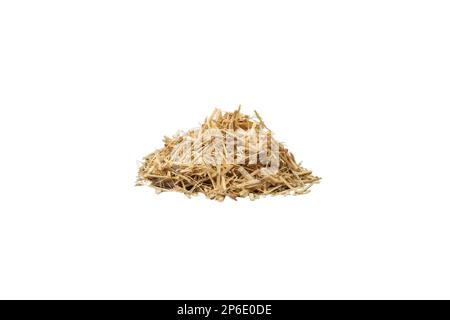 Ginseng siberiano in latino Eleutherococcus senticosus heap isolato su sfondo bianco. Erba medicinale. ha una storia di uso nel folklore e nella tradizione Foto Stock