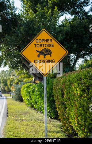 Florida. Cartello di incrocio Gopher Tartaruga sull'isola di Sanibel. Foto Stock