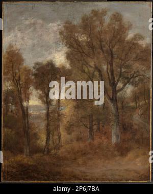 John Constable, scena Woodland che domina Dedham vale, circa 1802–3, olio su tela. Foto Stock