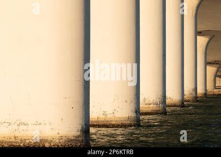 Immagine nel tardo pomeriggio sotto il Ringling Bridge a Sarasota, Florida. Foto Stock