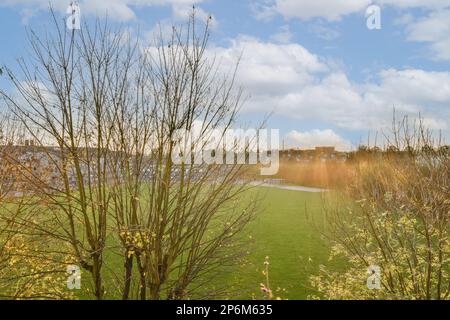 alcuni alberi senza foglie nell'erba e un albero senza la sua foglia è ancora sul terreno Foto Stock