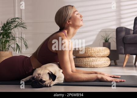 Bella donna con cane che pratica yoga a casa Foto Stock