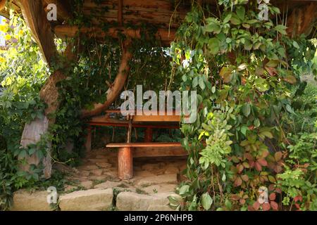 Tavolo e panchine sotto baldacchino di legno coperto di vite Foto Stock