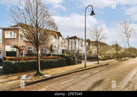 una strada con case sullo sfondo e alberi su entrambi i lati, lungo una strada asfaltata vuota che conduce ad una fila di Foto Stock