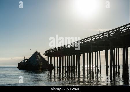 Silhoutte della SS Palo Alto, un vecchio naufragio della seconda guerra mondiale al largo della costa di Aptos, California Foto Stock