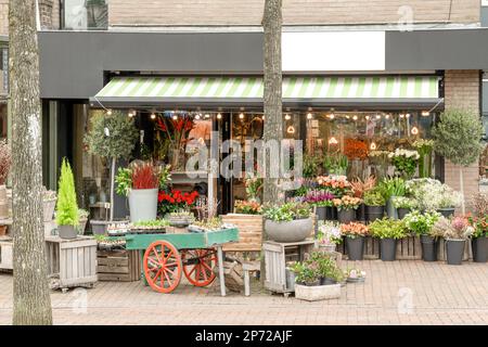 Amsterdam, Paesi Bassi - 10 aprile, 2021: Un negozio di fiori con un sacco di fiori nella finestra anteriore e sul terreno c'è un carrello pieno di pentole Foto Stock