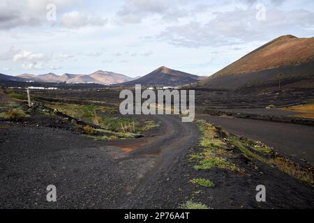 Strada sterrata locale nella zona vinicola di Lanzarote, Isole Canarie, Spagna Foto Stock