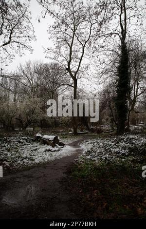 South London, UK, 8th Marzo 2023 Snow Fall si trasforma in fanghi su Clapham Common la mattina presto, Chrysoulla Kyprianou Rosling/Alamy Live News Foto Stock