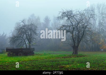 campo con alberi e rimorchi agricoli Foto Stock