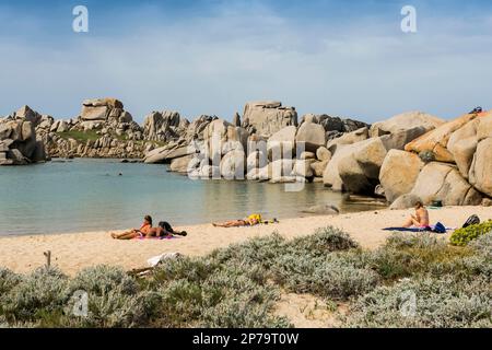 Rocce granitiche e spiaggia sabbiosa, Tafoni, Isole Lavezzi, Iles Lavezzi, Bonifacio, Corsica-du-Sud, Corsica, Mar Mediterraneo, Francia Foto Stock