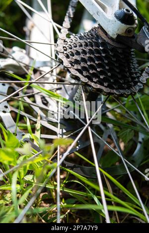 La cassetta degli ingranaggi posteriori della bicicletta di montagna e la catena che stendono sull'erba vicino non hanno sparato la gente. Foto Stock