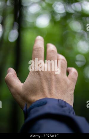 Mano maschio caucasica che raggiunge la mano aperta verso l'alto primo piano sparato verde natura poco profonda di sfondo campo. Raggiungimento del gesto della mano Foto Stock