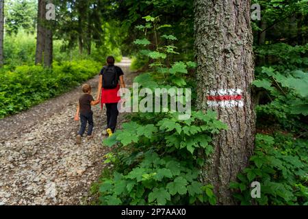 Marcatura rossa del sentiero escursionistico, dipinta su un albero vagando turisti sullo sfondo. Montagne polacche, Polonia, Europa Foto Stock