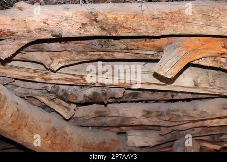 fienile abbandonato, travi in legno controsoffitto marcio Foto Stock