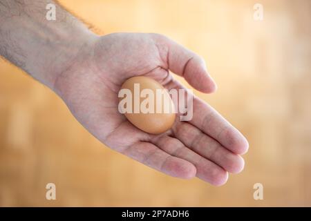 Uovo di pollo fresco marrone tenuto nella palma aperta dell'uomo. Primo piano, vista dall'alto, sfondo marrone sfocato. Foto Stock