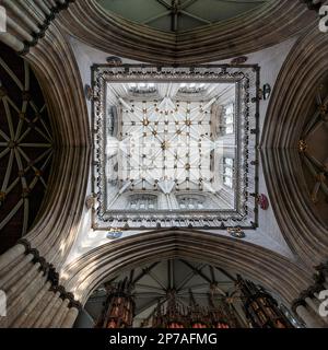 Volta a coste reticolare in stile tardo gotico sull'incrocio, York Minster, Cattedrale, York, Inghilterra, Gran Bretagna Foto Stock