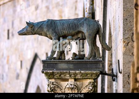 Romolo e Remo, secondo la mitologia romana i fondatori della città di Roma, il municipio gotico, Palazzo pubblico, Siena, Italia Foto Stock