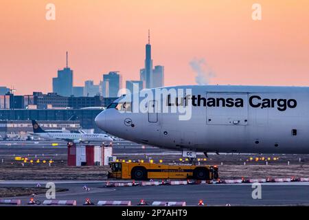 Aeroporto di Fraport con skyline, aereo, MCDONNELL DOUGLAS MD-11F di Lufthansa Cargo, Francoforte sul meno, Assia, Germania Foto Stock