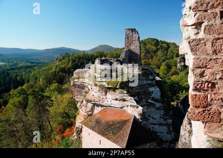 Rovina, castello di roccia medievale, gruppo castello di Dahn, Foresta Palatinato, Altdahn Castello, Wasgaus (Renania-Palatinato), Germania, Dahn Foto Stock