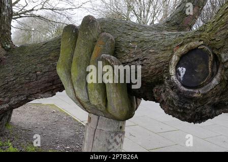 Una mano d'aiuto. Una scultura di legno di John Butler che tiene un ramo di albero per impedirne la rottura. Bideford. Devon. Inghilterra. REGNO UNITO 2023 Foto Stock