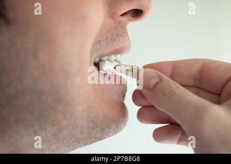 Semi di girasole interi essiccati che mangiano. Fessurato tra i denti da maschio caucasico. Primo piano, vista laterale, irriconoscibile. Foto Stock