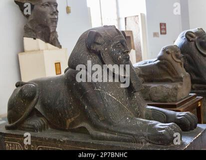 Il Cairo, Museo Egizio, sfinge di Amenemhat III, più tardi usurpato, trovato in Tanis. Relativamente insolito come la sua testa ha caratteristiche leone (mane). Foto Stock