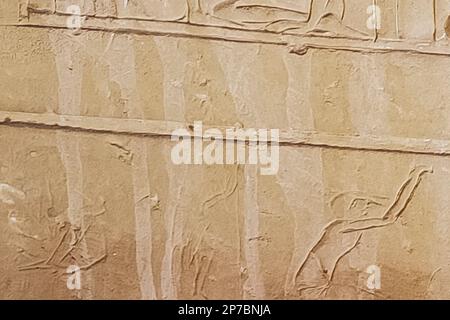 Egitto, Saqqara, tomba di Horemheb, parte settentrionale della parete orientale del cortile interno, graffiti. Foto Stock