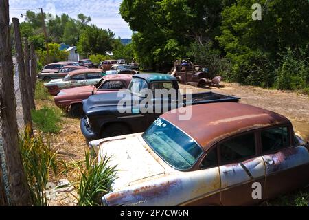 Orderville, USA - 15 luglio 2008: Junk yard con vecchi bei oldtimers sulla strada 89 a Orderville, USA. L'America è un posto per l'auto classica europea Foto Stock