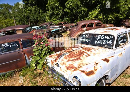 Orderville, USA - 15 luglio 2008: Junk yard con vecchi bei oldtimers sulla strada 89 a Orderville, USA. L'America è un posto per l'auto classica europea Foto Stock