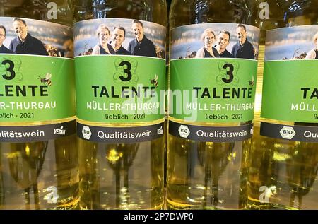 Viersen, Germania - Marzo 3. 2023: Primo piano delle bottiglie di vino bianco tedesco Müller Thurgau 3 talento, l'etichetta mostra la foto dei viticoltori Foto Stock